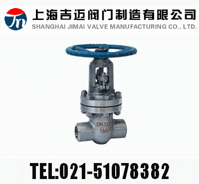Z61HZ61YZ61W  PN100~PN160 в庸Шʽly
